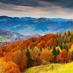 竹林深处-葫芦丝