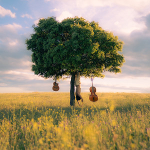 Árbol Perdido