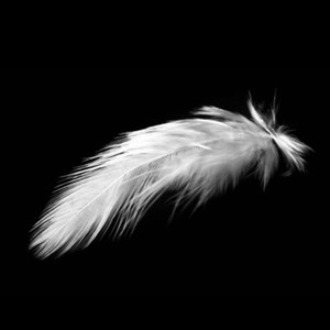 you're no angel(panama)