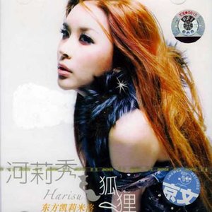 河莉秀 - 狐狸 (Karaoke版)