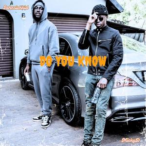 Do you know (feat. MickyD) (Explicit)