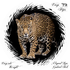 Deep Into The Night (Original Mix)