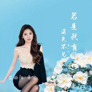 若是我有一天消失不见