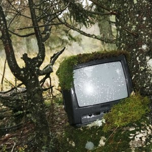 Mass Destruction (Mickey Nox Remix)