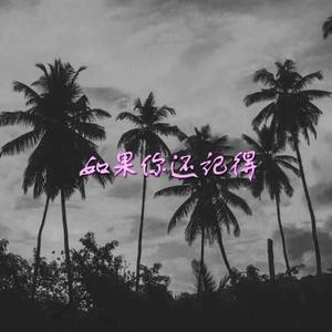 Sarcastic Sounds-如果你还记得* (FunnyM0nK3y* remix)