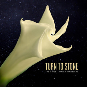 Turn to Stone (feat. Maya De Vitry)