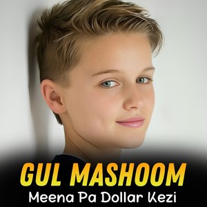 Meena Pa Dollar Kezi