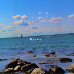 Reveal