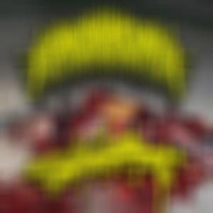 So-Cal Mincecore Chuds