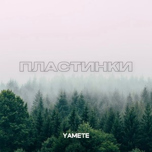 Пластинки