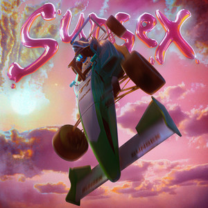 SUNSEX (Explicit)