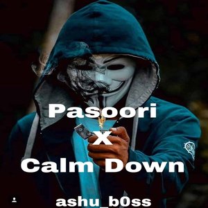 Pasoori x Calm Down (Remix)