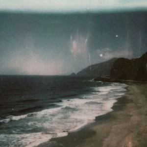 达尔文(我的青春也不是没伤痕)