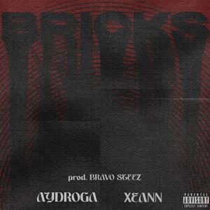 Bricks (feat. Xeann, AYDRÖGA & Bravo Steez) [Explicit]