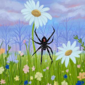 The Spider Casts a Web and Waits (Explicit)