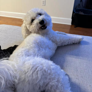 outsideeee (feat. iloveit! & Derrickulous) (Explicit)