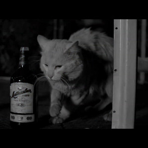 Ron de Reserva