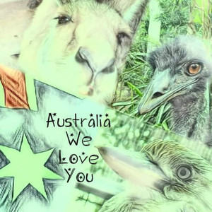 Aussie Brumby - As Handsome As A Hemsworth