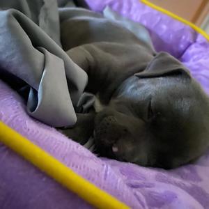 Silver Spoon (Explicit)