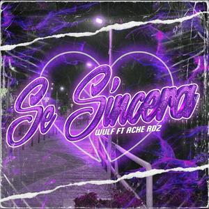 SE SINCERA (feat. Ache Rdz) [Explicit]