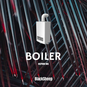 Boiler (DEEPDIM Mix)