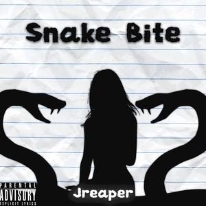 Snake bite (feat. Ayjee) [Explicit]