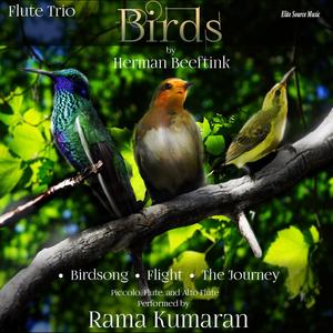 "Birds" for Flute Trio