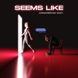 Seems Like(feat. Marty)