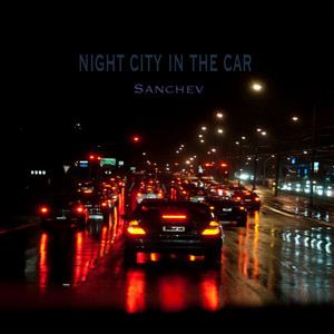 Night city in the car