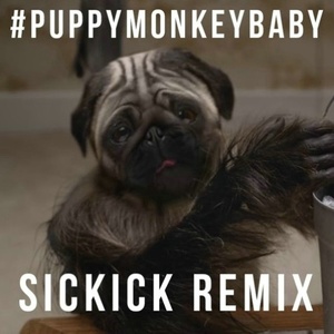 PuppyMonkeyBaby (Remix)