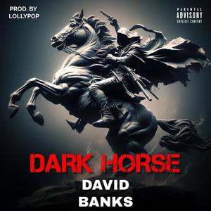 Dark Horse (feat. Lil Venmo) [Explicit]