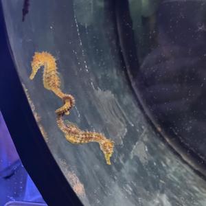 Forever (feat. hopeeday)