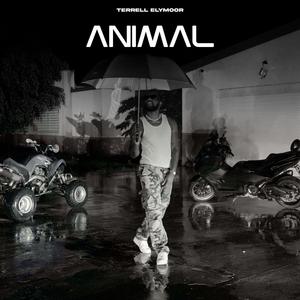 Animal (Explicit)