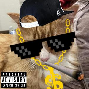 Cat's Thug Life