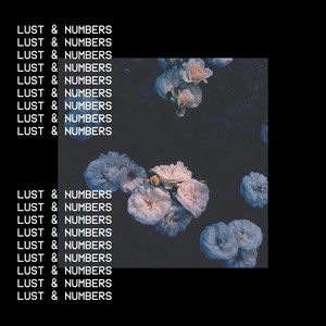 Lust & Numbers (Explicit)