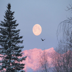 It's Too Bad (Explicit)