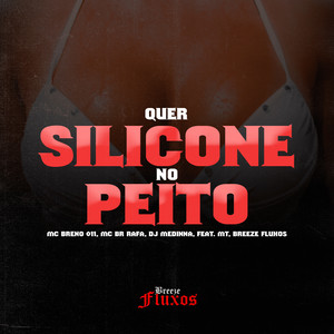 Quer Silicone no Peito (Explicit)