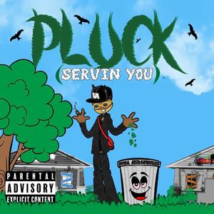 Pluck (Servin' You) (Explicit)