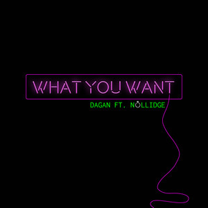 What You Want (Explicit)