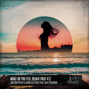 What Do You Feel (MED33P Remix)