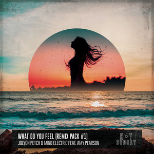 What Do You Feel (feat. Amy Pearson) [Remixes]