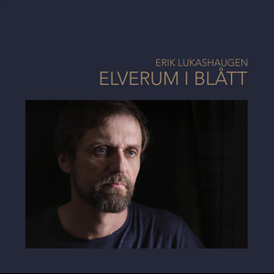 Elverum i blått