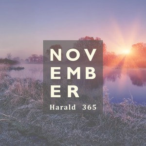 November 365