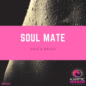 Soul Mate (Zhi Ji)