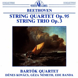 String Trio in E-Flat Major, Op. 3 - String Trio in E-Flat Major, Op. 3: VI. Finale. Allegro
