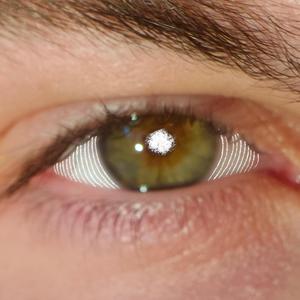 Relativitätsmelodie