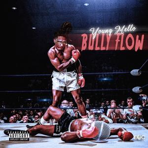 Bully Flow (Explicit)