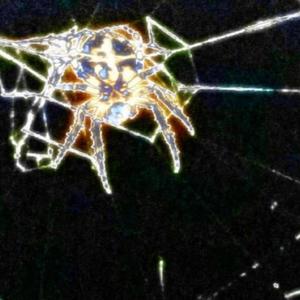 Widow Maker (Explicit)