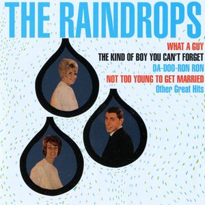 The Raindrops - The Kind of Boy You Can't Forget