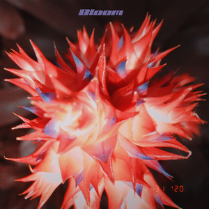 I Got Lost in the Trees